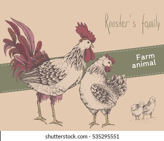 Illustration family day. Rooster, hen, chicken. Graphics, handmade drawing image. Vintage engraving style. Cock, brood and chick are standing on ground. It can be used greeting card, booklet, leaflet