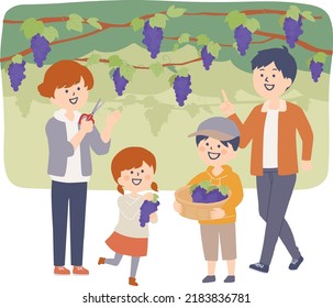 Illustration of a family enjoying grape picking