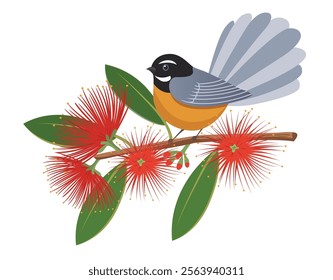 Illustration of a fantail bird perched on a branch of a pohutukawa tree