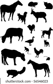 illustration with farm animals collection isolated on white background