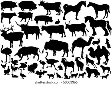 illustration with farm animals collection isolated on white background