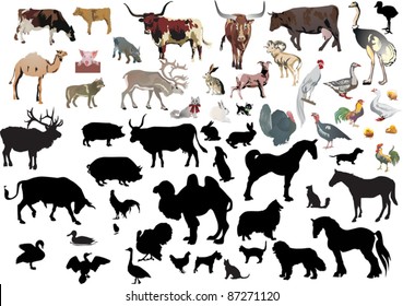 illustration with farm animals collection isolated on white background