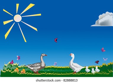 illustration with farm birds on field