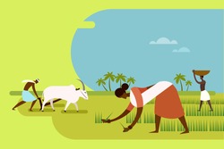 Illustration Of Farm Workers Planting Paddy Seedlings And Plowing The Field With Bullocks