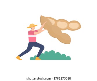 illustration of a farmer offering a large soybean. the concept of the highest quality soybeans. farmers in the soybean fields. flat design. can be used for elements, landing pages, UI, web sites