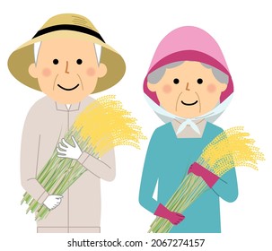 It is an illustration of farmers who harvest rice.