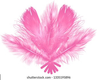 Illustration With Feather Fan Isolated On White Background