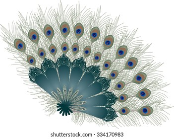 Illustration With Feather Fan Isolated On White Background