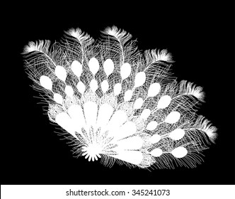 illustration with feather fan isolated on black background