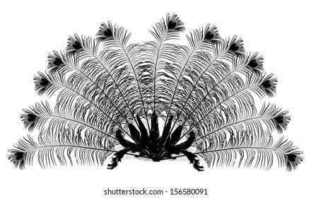 Illustration With Feather Fan Silhouette Isolated On White Background