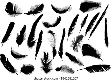 illustration with feather silhouettes isolated on white background