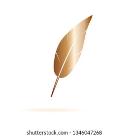 Illustration of a feather vector icon
