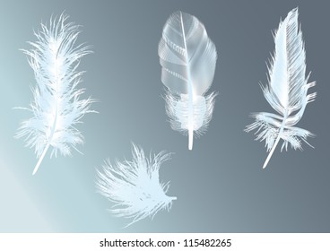 illustration with feathers on blue background