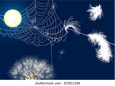ilustración con plumas en telaraña