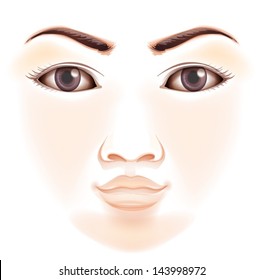 Illustration of the features of a human face