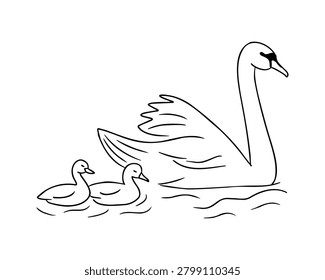 Illustration features a swan with two ducklings swimming in water, highlighting their shapes and interactions in a serene aquatic environment