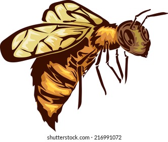 Illustration Featuring a Bee