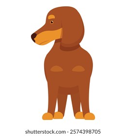 Illustration featuring a brown dachshund standing and looking to the right of the frame