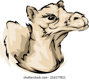 Illustration mit einem Kamel