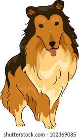 Illustration Featuring a Collie