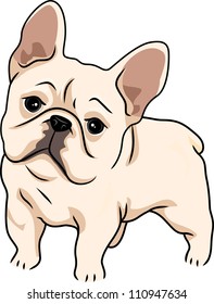 Illustration Featuring a Cute and Curious French Bulldog