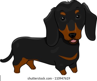 Illustration Featuring a Cute and Friendly Dachshund