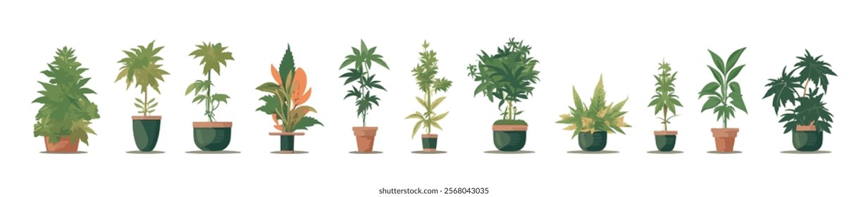 An illustration featuring a diverse collection of potted plants with different shapes, sizes, and colors, perfect for gardening, nature, and botanical themes.  
