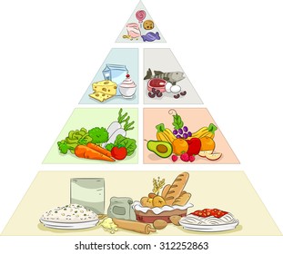 Illustration Featuring Examples of Foods That Follow the Food Pyramid