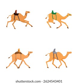 Illustration featuring four different cartoon camels with colorful saddles on a white background