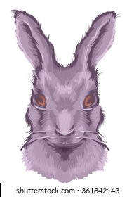 Illustration Featuring the Head of a Large Fluffy Hare