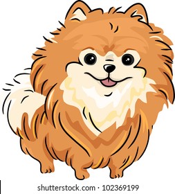 Illustration Featuring a Pomeranian