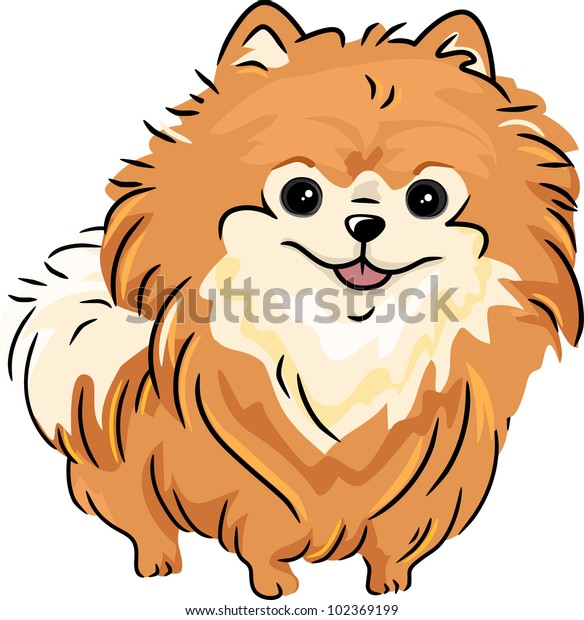 Illustration Featuring Pomeranian Stock Vector (Royalty Free) 102369199