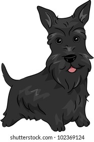 Illustration Featuring a Scottish Terrier