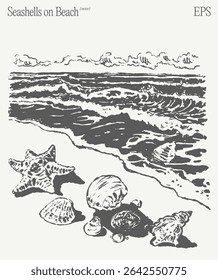 An illustration featuring seashells beautifully scattered on a beach with gentle waves