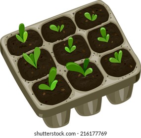 Illustration Featuring a Seedling Tray Filled with Saplings