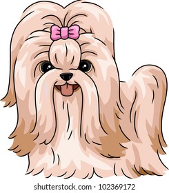 Illustration Featuring a Shih Tzu