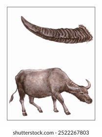 Illustration featuring a textured, spiraling buffalo horn above a lifelike depiction of a buffalo standing with detailed shadowing.