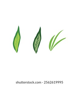 Illustration featuring a trio of green elements: two leafy designs and a cluster of grass blades, ideal for nature themes.