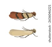 Illustration featuring two household pest moths, the Indian meal moth with reddish brown and tan striped wings and the webbing clothes moth with uniform beige wings