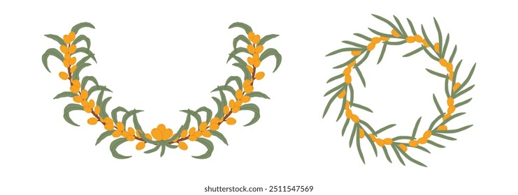 Illustration featuring two sea buckthorn berry wreaths with green leaves, arranged in circular patterns of the bright orange berries and fresh foliage.
