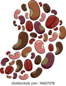 Illustration Featuring a Variety of Beans