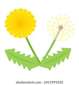 An illustration featuring a yellow dandelion and a white seed head.