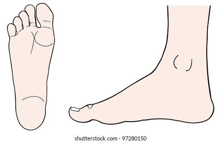 illustration of feet isolated on white