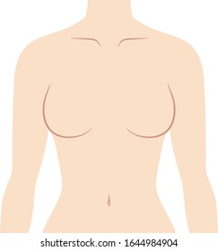 Illustration Of Female Chest Upper Body