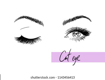 Illustration of female eyes in the style of a cat.