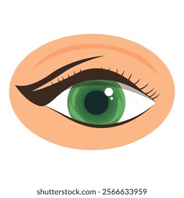 Illustration of a female green eye with long eyelashes and perfectly applied eyeliner