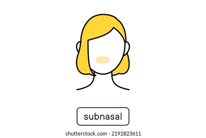 Illustration of female hair removal by part, under the nose