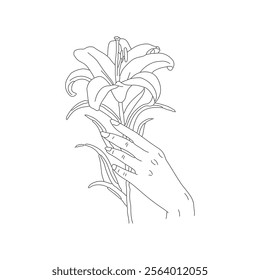 Illustration of a female hand gently holding a lily flower line art with editable stroke, lily flower's coloring book page 