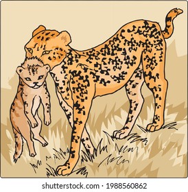 illustration of a female leopard lifting her cub in mouth