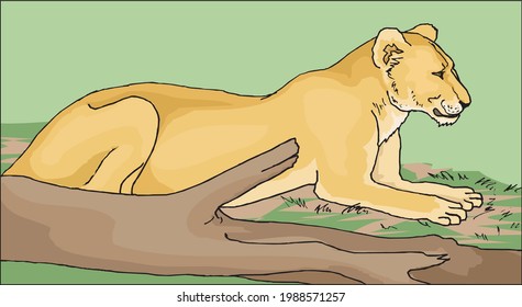 illustration of a female lion sitting near a tree branch